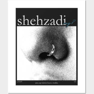 Shehzadi Posters and Art